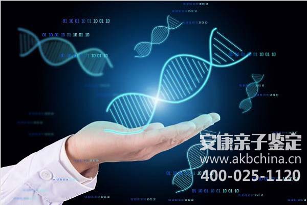 广东福建私生子怎么DNA 亲子鉴定私生子DNA 