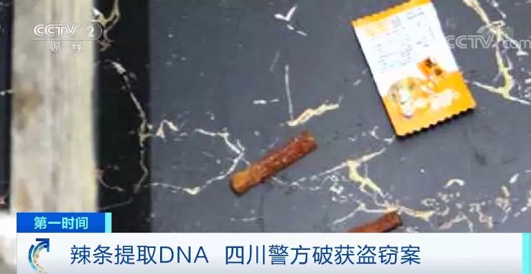 广东口水DNA亲子鉴定找出盗窃男子 男子头套丝袜偷了200多万的珠宝 
