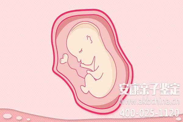广东怀孕期间做亲子鉴定吗,怀孕如何做亲子鉴定吗 