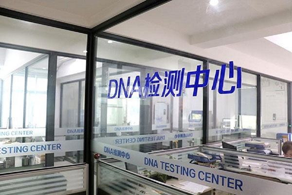 广东快速获得DNA亲子鉴定检查报告（短时间内完成亲子鉴定检查报告） 